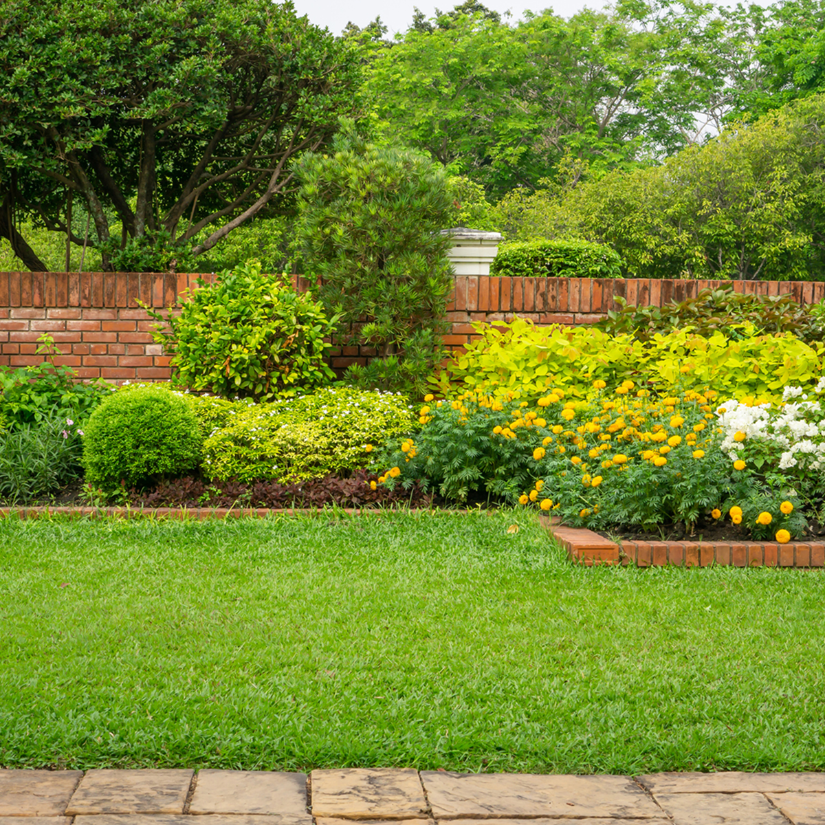 Garden with colorful flowers and green grass